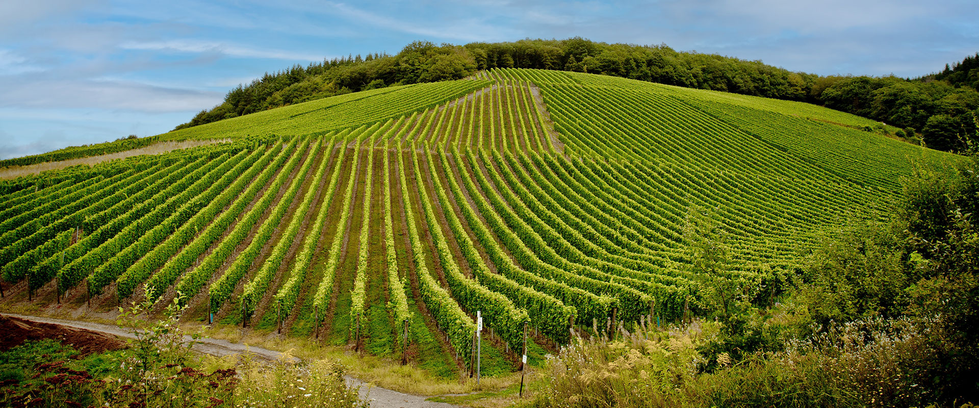 Weingut Agritiushof - Karlsberg