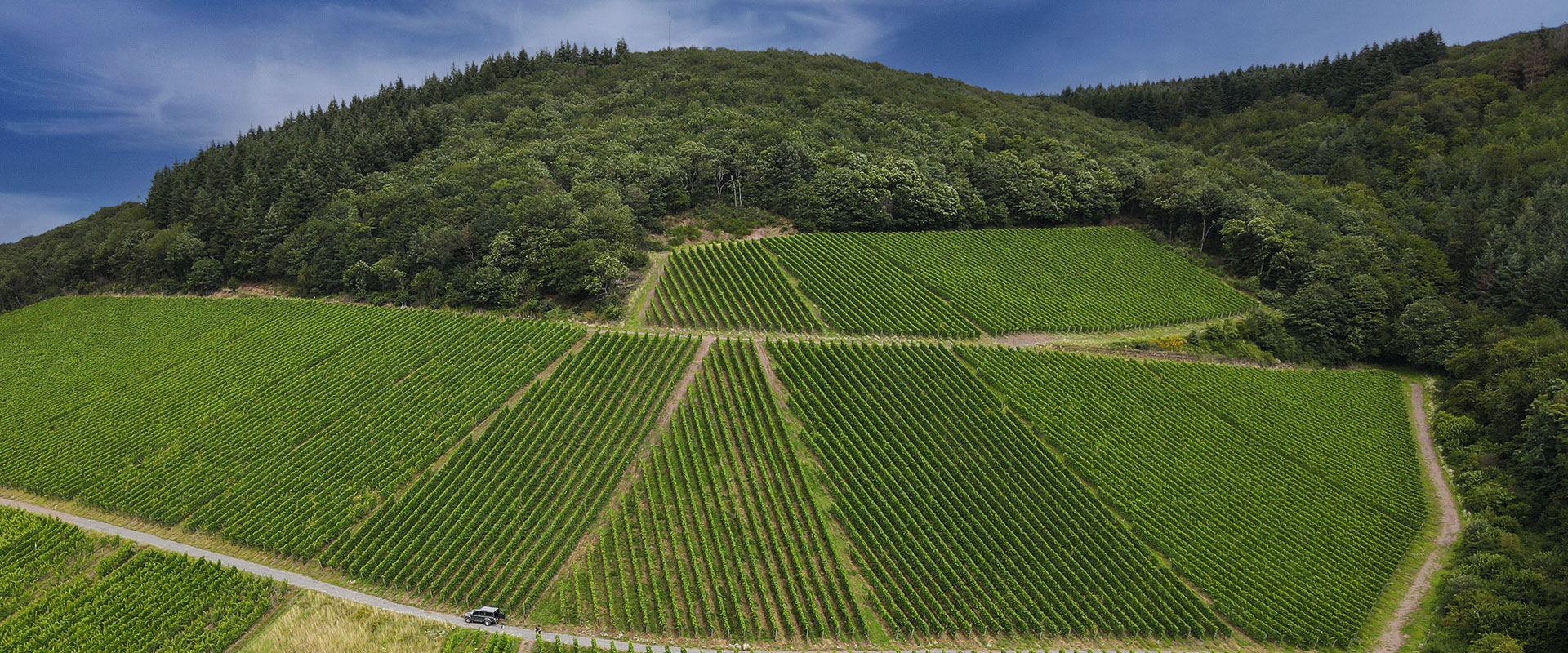 Weingut Agritiushof - Karlskopf