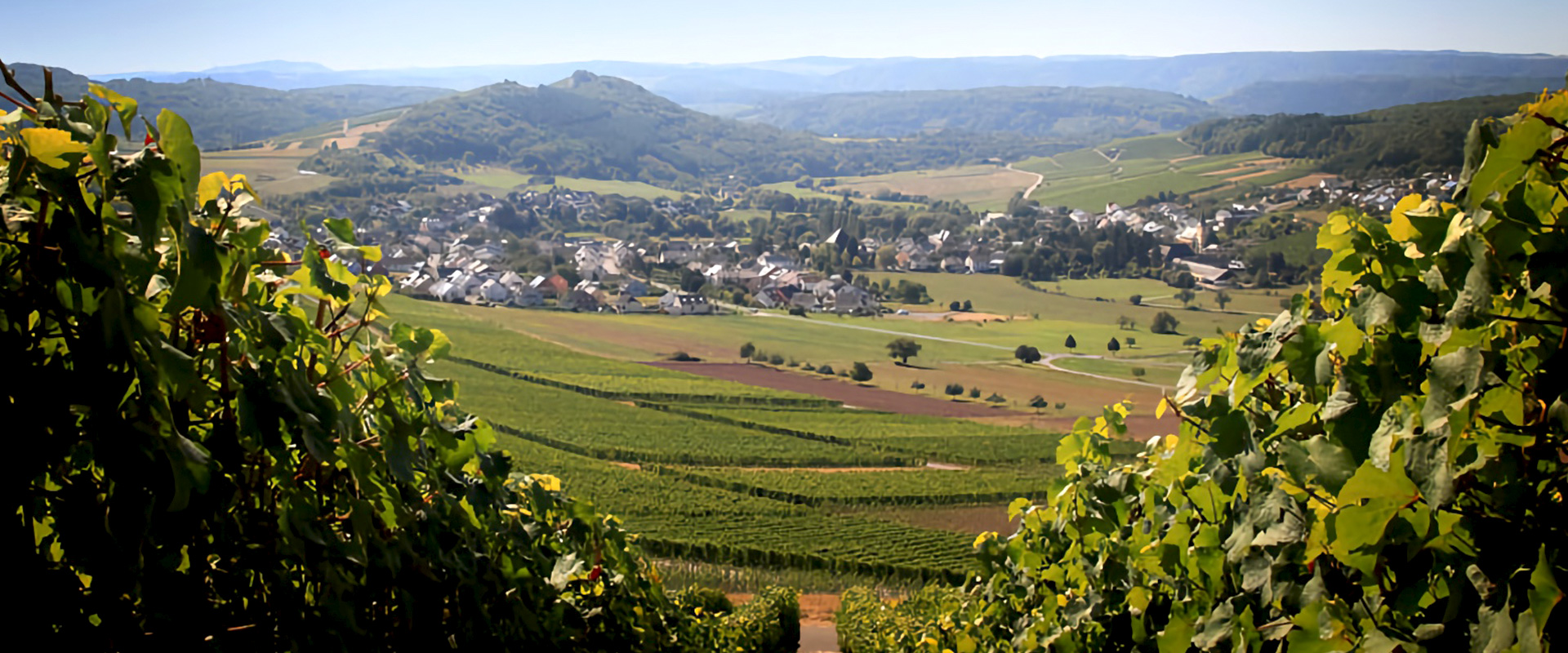 Weingut Agritiushof - Weinheimat